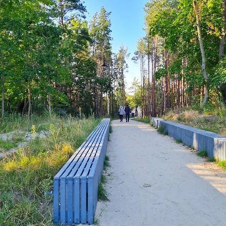 Lividus - Visit Baltic سفينويتشي